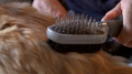 FURminator Dual Grooming Brush Szczotka Dwustronna do Czesania Psów i Kotów FUR141310