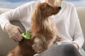 FURminator Undercoat deShedding Tool Usuwa Podszerstek u KRÓTKOWŁOSYCH Psów Małych Ras FUR141006