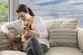 FURminator Undercoat deShedding Tool Usuwa Podszerstek u KRÓTKOWŁOSYCH Psów Średnich Ras FUR141372
