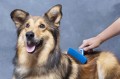 FURminator Undercoat deShedding Tool Usuwa Podszerstek u DŁUGOWŁOSYCH Psów Dużych Ras FUR141136