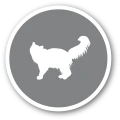 FURminator Undercoat deShedding Tool Usuwa Podszerstek u KRÓTKOWŁOSYCH Małych Kotów FUR141198