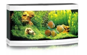 Juwel Vision 260l 121x46x64 cm Zestaw Akwarium Białe