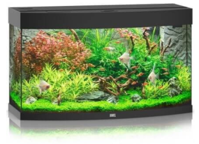 Juwel Vision 180l 92x41x55 cm Zestaw Akwarium Czarne