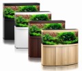 Juwel Vision 450l 151x61x64 cm Zestaw Akwarium Czarne 2xBelka LED
