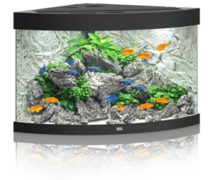 Juwel Trigon 190l Zestaw Akwarium Narożne Czarne 98,5x70x60cm