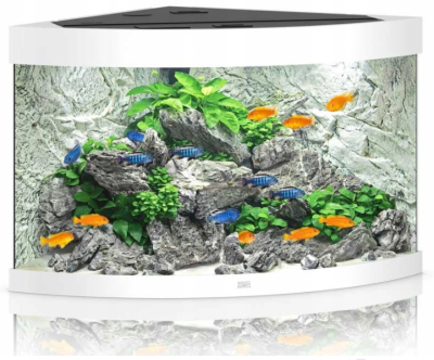Juwel Trigon 190l Zestaw Akwarium Narożne Białe