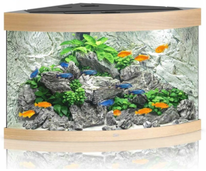 Juwel Trigon 190l Zestaw Akwarium Narożne Jasne Drewno 98,5x70x60cm