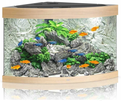 Juwel Trigon 190l Zestaw Akwarium Narożne Jasne Drewno