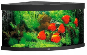 Juwel Trigon 350l Zestaw Akwarium Narożne Czarne 123x87x65cm