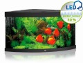 Juwel Trigon 350l Zestaw Akwarium Narożne Czarne 123x87x65cm