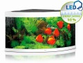 Juwel Trigon 350l Zestaw Akwarium Narożne Białe 123x87x65cm
