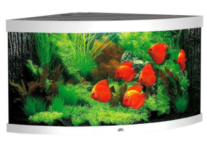 Juwel Trigon 350l Zestaw Akwarium Narożne Białe 123x87x65cm
