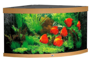 Juwel Trigon 350l Zestaw Akwarium Narożne Jasne Drewno 123x87x65cm