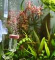 Aquario Neo CO2 System Kompletny Zestaw CO2 do Bimbrowni i Akwarium