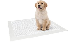 SPARK Podkłady Maty Dla Psa Do Nauki Sikania 60x45cm 10szt