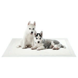 SPARK Podkłady Maty Dla Psa Do Nauki Sikania 60x90cm 10szt