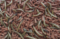 TROPICAL ATELERIX POKARM DLA JEŻY 300G 53181