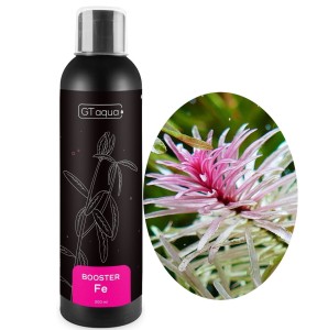 GT AQUA BOOSTER FE 200ML Nawóz Żelazowy do Akwarium