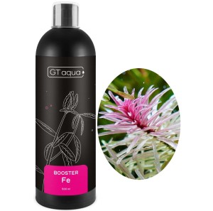 GT AQUA BOOSTER FE 500ML Nawóz Żelazowy do Akwarium