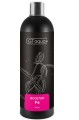 GT AQUA BOOSTER FE 500ML Nawóz Żelazowy do Akwarium