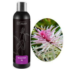 GT AQUA BOOSTER N 200ML Nawóz Azotowy do Akwarium