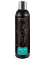 GT AQUA BOOSTER P 200ML Nawóz Fosforowy do Akwarium