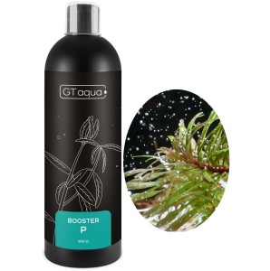 GT AQUA BOOSTER P 500ML Nawóz Fosforowy do Akwarium