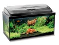AQUAEL Classic Box 80 2.0 Zestaw Akwarystyczny AKWARIUM PROSTE 80x35x40cm 112L + Pokrywa 14W Day&Night
