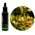 YOKUCHI GEN NANO N Nawóz Azotowy do Akwarium 30ml