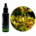 YOKUCHI GEN NANO P Nawóz Fosforowy do Akwarium 30ml