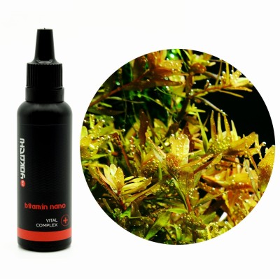 YOKUCHI BITAMIN VITAMIN COMPLEX NANO Witaminy dla Ryb 30ml