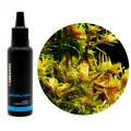 YOKUCHI GEDOKU NANO Uzdatniacz do Wody Kranowej Wodociągowej 30ml