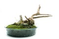 YOKUCHI HAISUI BASE 0,5L Podłoże Drenażowe do Terrarium