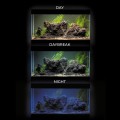 AQUAEL ULTRASCAPE 243L Zestaw Akwarium z Oświetleniem Forest Set