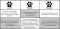 Nina Ottosson Dog Casino Interaktywna Edukacyjna Gra Dla Psów poz. 3