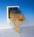 Drzwiczki Wahadłowe Dla Kotów Cat Mate Cat Flap 4Way Locking Białe 309W