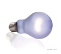 Exo Terra Daytime Heat Lamp 100W Żarówka dzienna do Terrarium