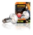 Exo Terra Intense Basking Spot 50W Żarówka dzienna grzewcza do Terrarium