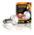 Exo Terra Intense Basking Spot 75W Żarówka dzienna grzewcza do Terrarium