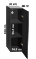 Szafka pod Akwarium NEO 30x30x100cm BIAŁA