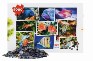 Juwel Puzzle Ryby Akwariowe Morskie 1000 elementów