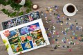 Juwel Puzzle Ryby Akwariowe Morskie 1000 elementów