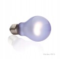 EXO TERRA DAYTIME HEAT LAMP 150W OKRĄGŁA ŻARÓWKA DZIENNA DO TERRARIUM PT2114
