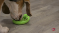 Trixie Snack Snake Zawinięty Wąż na przysmaki dla Psa 18cm