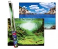 Aqua Nova Tło Dwustronne Do Akwarium Fototapeta Plants / Ocean S 60x30cm