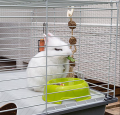FERPLAST RABBIT 100 Duża Klatka Dla Królika, Świnki, Gryzoni 95cm