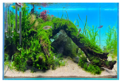 Diversa BACKLIGHT Panel Oświetleniowy Tło Podświetlane do Akwarium RGB LED 40x25cm