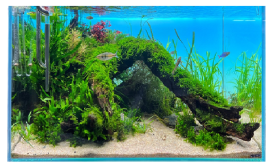 Diversa BACKLIGHT Panel Oświetleniowy Tło Podświetlane do Akwarium RGB LED 60x36cm