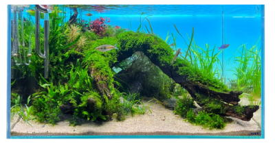 Diversa BACKLIGHT Panel Oświetleniowy Tło Podświetlane do Akwarium RGB LED 100x50cm