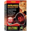 EXO TERRA Infrared Basking Spot R20 / 75W Podczerwona Żarówka Grzewcza do Terrarium
